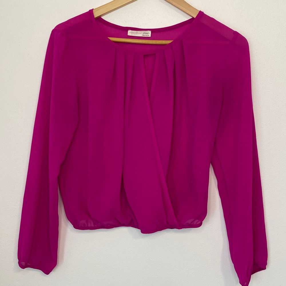 Pink Women’s Transparent Formal Blouse